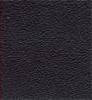 Blue-Navy 421